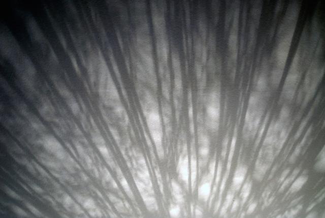 Schatten im Therapieraum 1