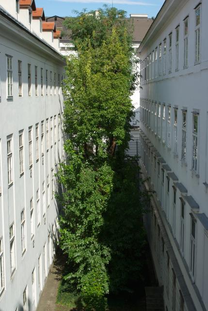 Blick aus dem Therapieraum 3 - Praxisgemeinschaft am Stadtpark